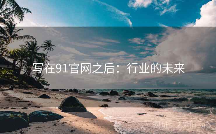 写在91官网之后：行业的未来