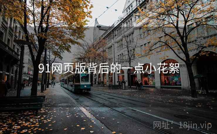 91网页版背后的一点小花絮