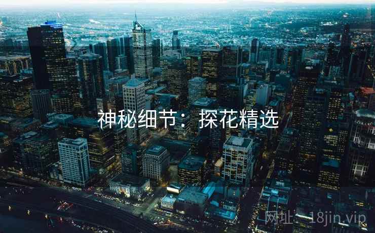 神秘细节：探花精选