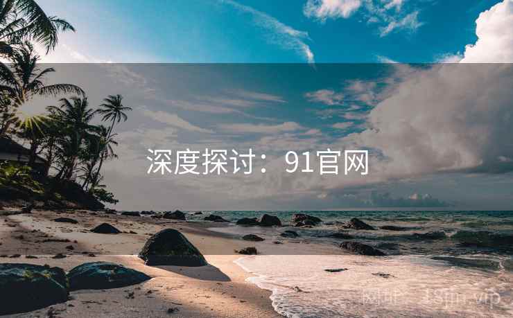 深度探讨：91官网