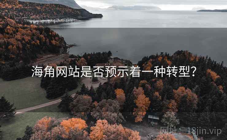 海角网站是否预示着一种转型？