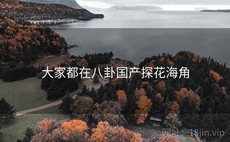 大家都在八卦国产探花海角
